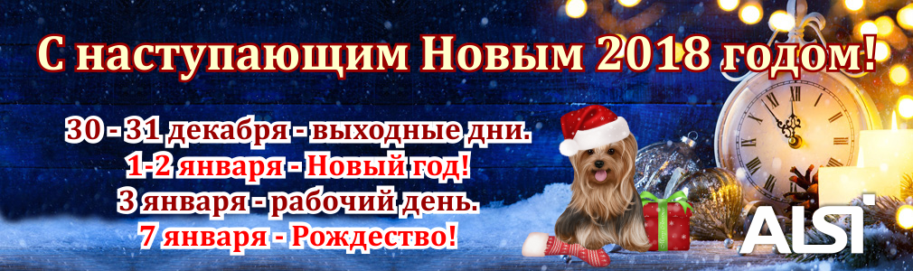 new year.png new year.png